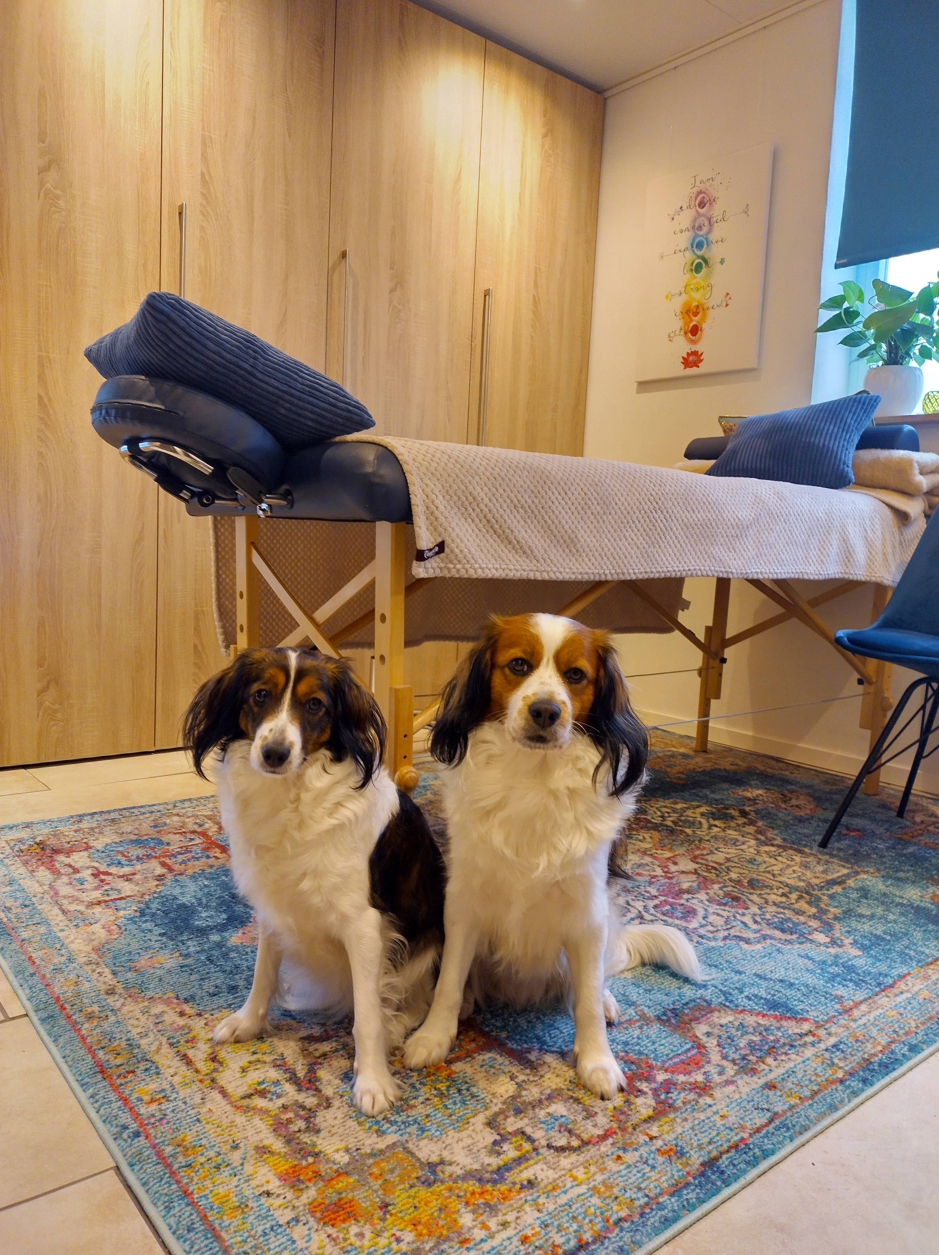 lauraine van hugten ease and joy &joy heerlen praktijk energie therapie cha